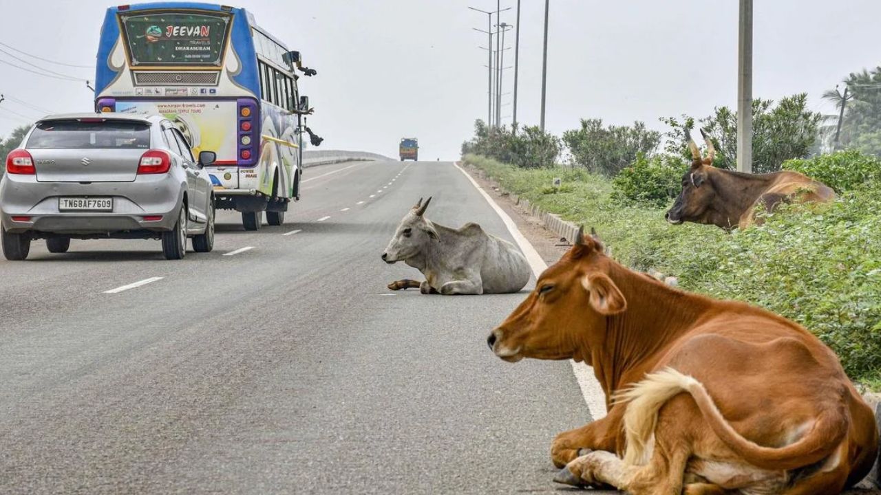 Ministry of Road Transport and Highways has issued an important circular.