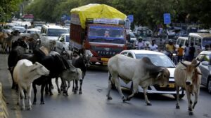 Ministry of Road Transport and Highways has issued an important circular.