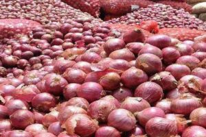 Find out more about the recent onion price hike.