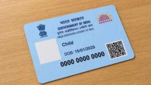 Aadhaar Card blue find out the uses of the 