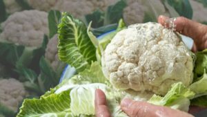 Cooking Tips easy way to get rid of insects from cauliflower before cooking