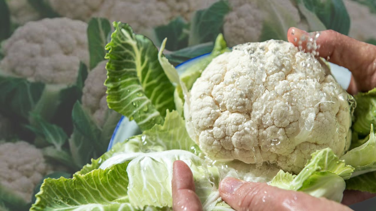 Cooking Tips easy way to get rid of insects from cauliflower before cooking
