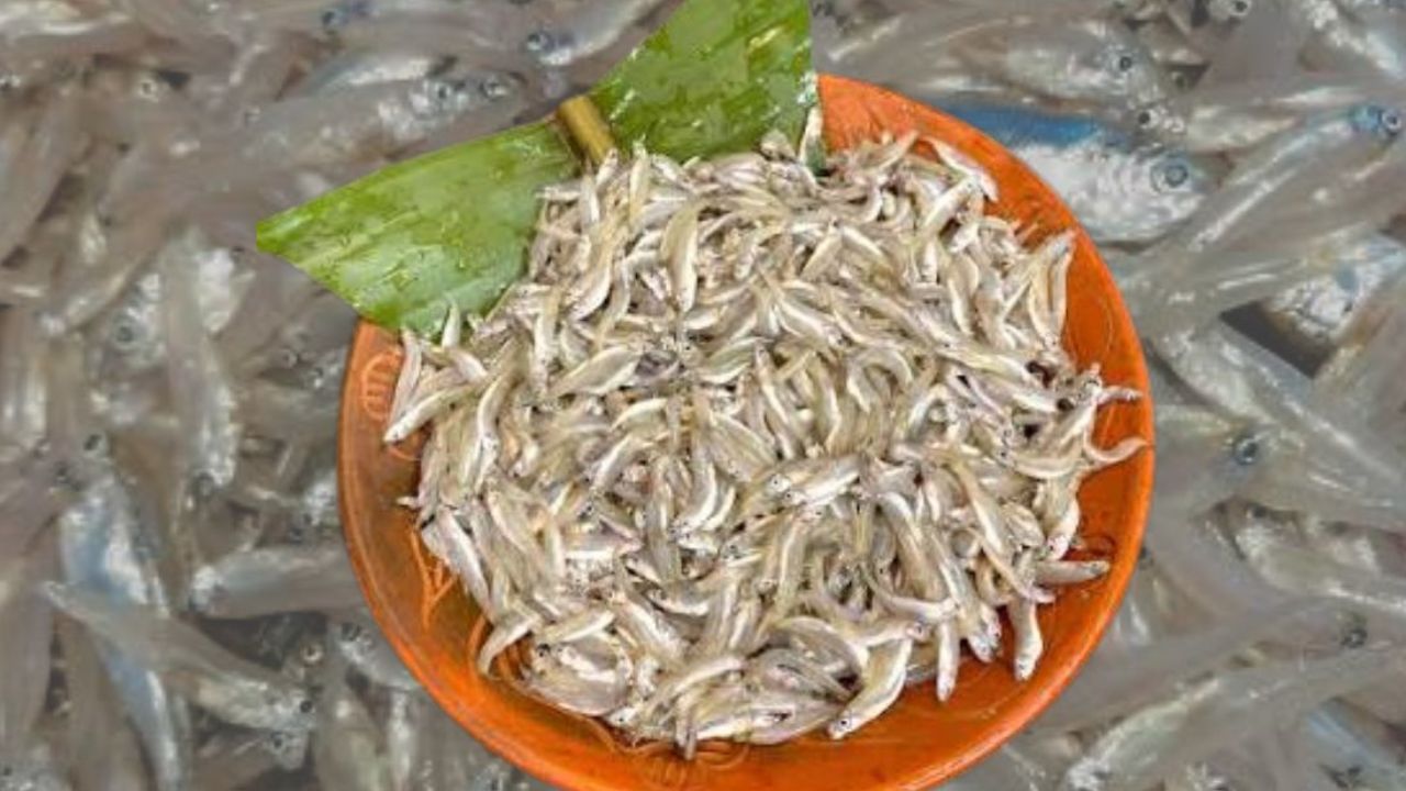 Cooking Tips a quick 5-minute technique for sorting small fish