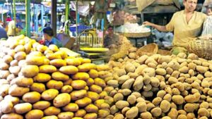 Potato farmers in distress over low prices