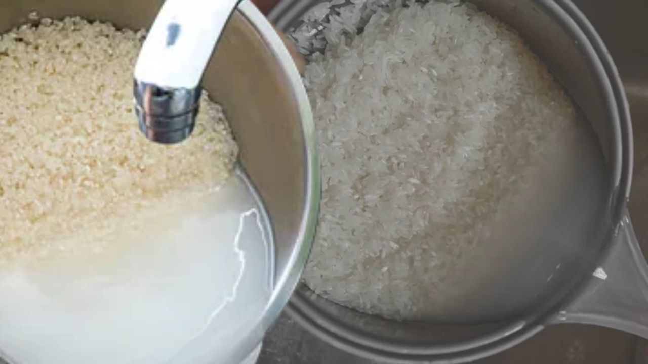 Cooking Tips how many times should rice be washed