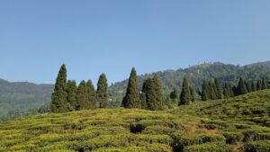 Travel the hills this weekend here are 3 offbeat destinations