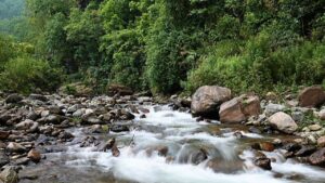 Travel Tode Tangta during the Puja holidays