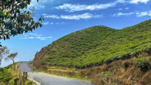 Travel Mahaldiram a land of clouds nestled in the hills