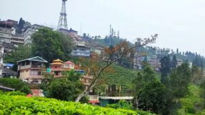 Travel peaceful Kurbia, nestled in the lap of the hills