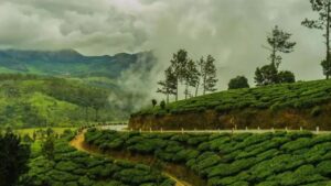 Travel pokharidhura a new address in the lap of the hills