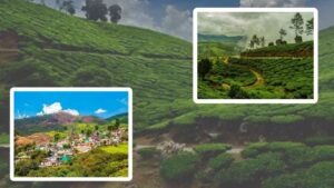 Travel Terjum surrounded by gardens and pine forests