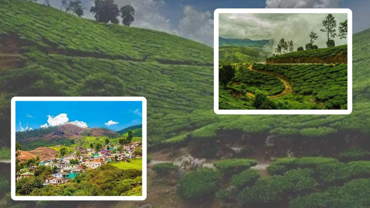 Travel Terjum surrounded by gardens and pine forests