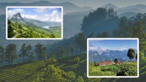 Travel spend your Puja holidays in the hills visit Badamtam