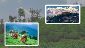 Travel pokharidhura a new address in the lap of the hills