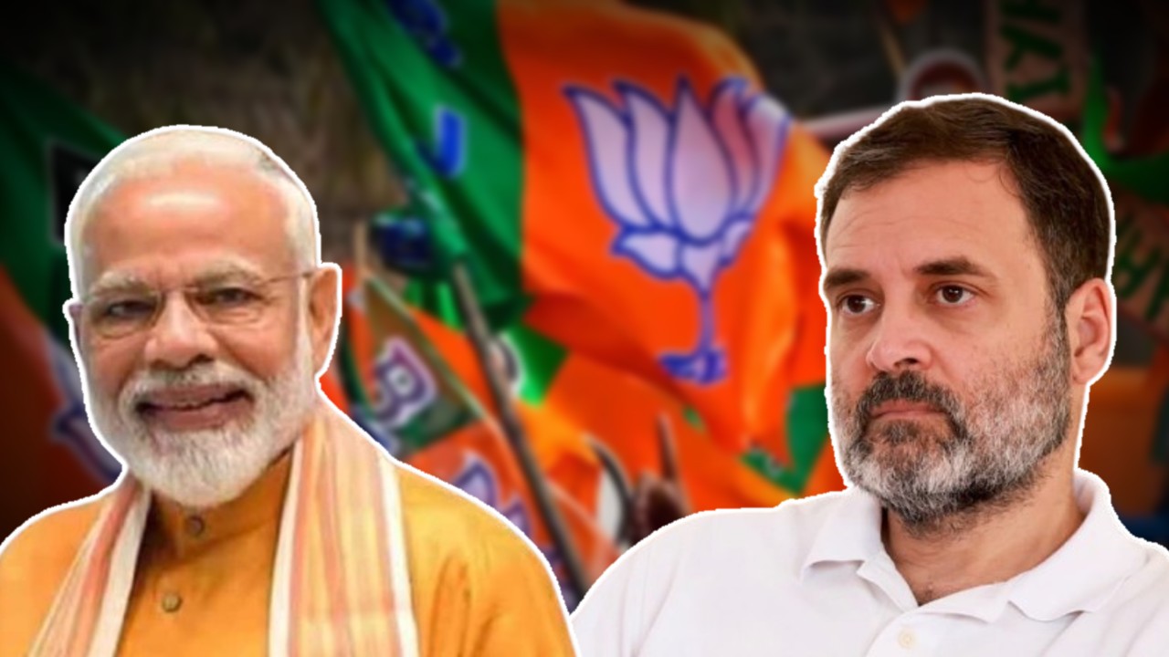 Bharatiya Janata Party dominates the Gujarat municipal elections amidst nationwide protest.