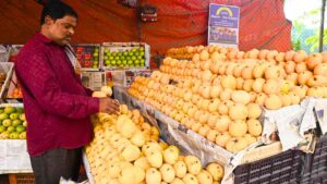 West Bengal Government takes initiative to make Malda 'Mango Capital'