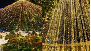 Light and Sound Show at Millennium Park
