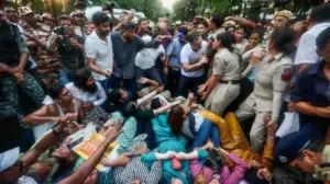 What did India say regarding the United Nations' concern over the protests by the CJP?