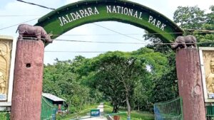 Jaldapara safari booking