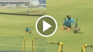 A monkey suddenly appeared on the field during a match in Nagpur.
