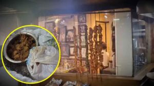 Saltlake Restaurant Lisence Suspended after fungus infected meat and expired food found