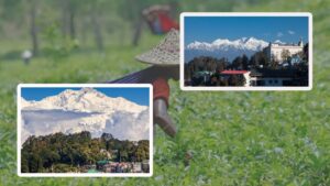 Darjeeling where should you visit