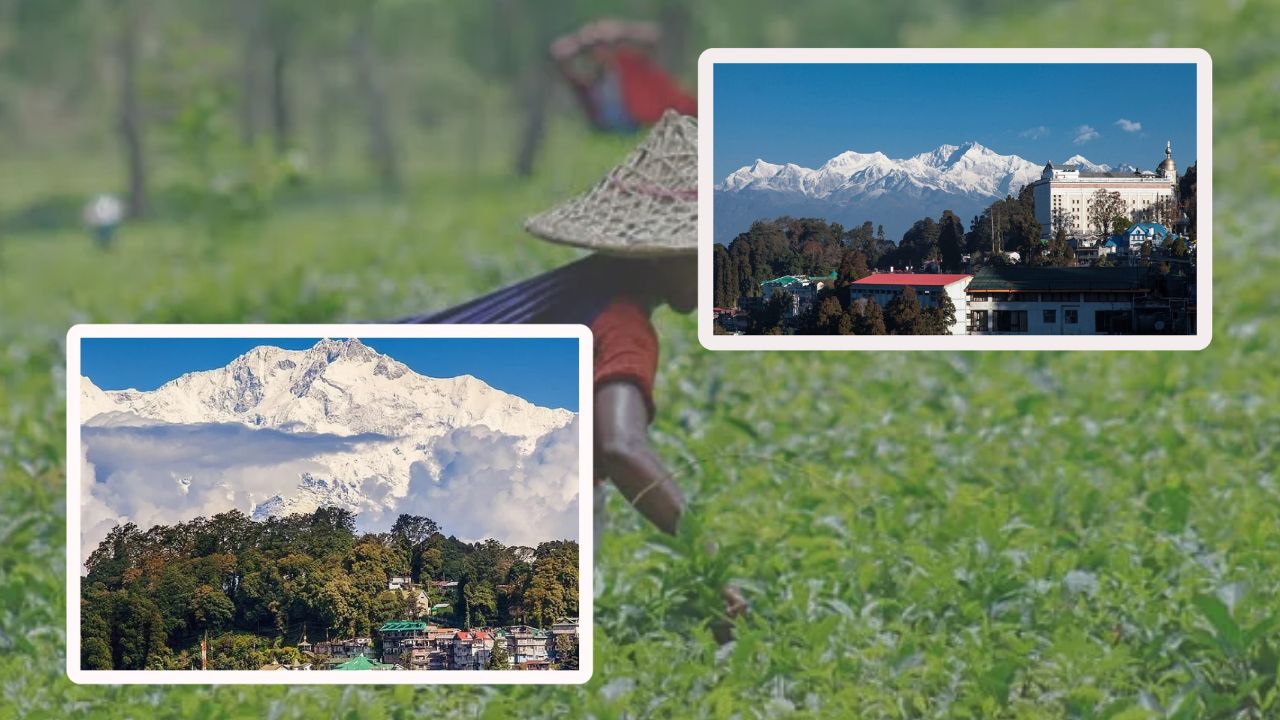 Darjeeling where should you visit