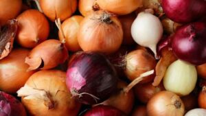 Onion price hike shock ahead of Puja rate at 5.54 in september