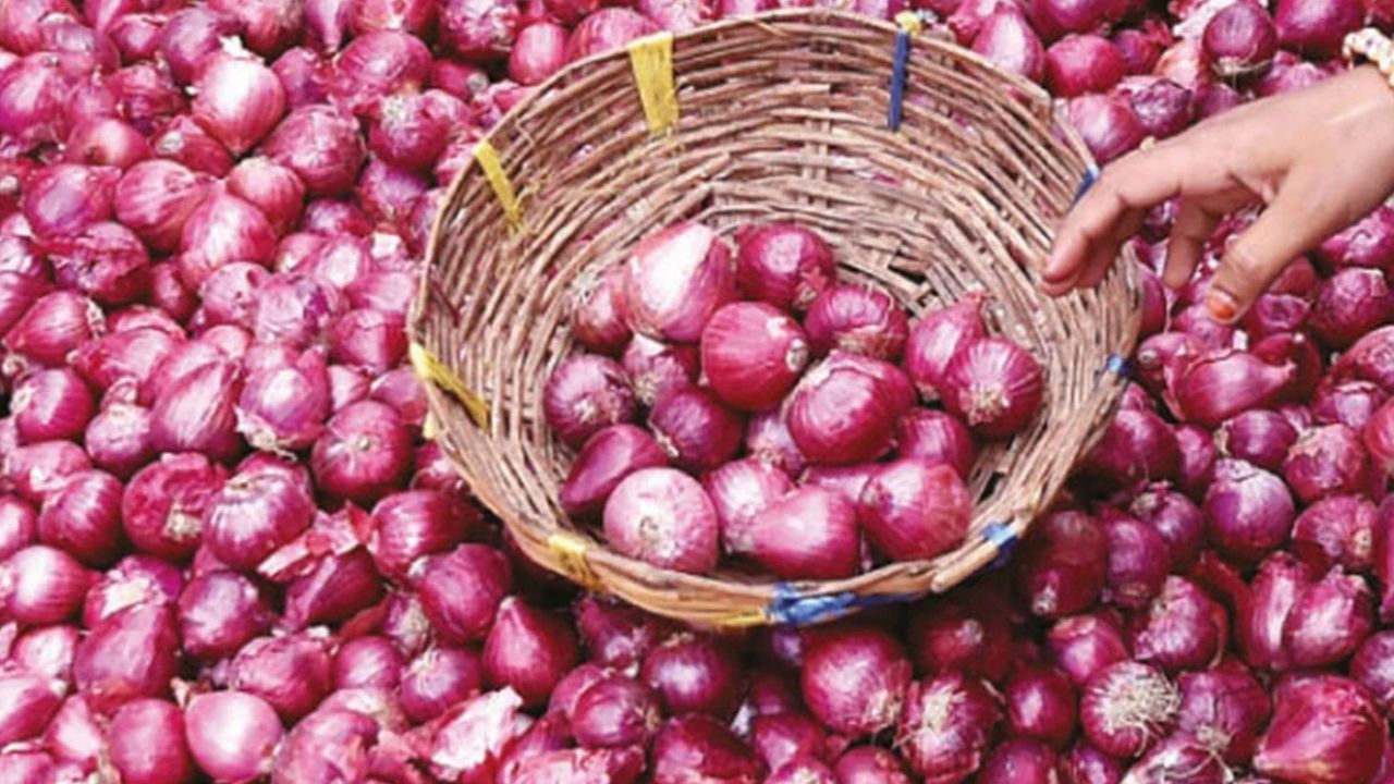Onion price hike shock ahead of Puja rate at 5.54 in september