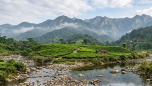 Dooars Turibari an offbeat destination for the puja holidays