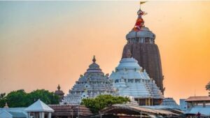 Puri a night in the forest on the way you might spot elephants