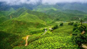 Darjeeling Bunkulung a hill destination near Mirik