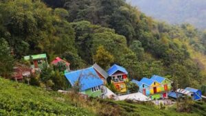 Darjeeling Visit the hills during the Puja holiday explore beautiful Rangbull
