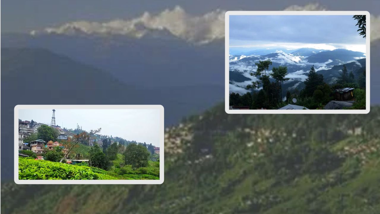 Darjeeling Kurbia a peaceful retreat nestled amidst hills and tea gardens