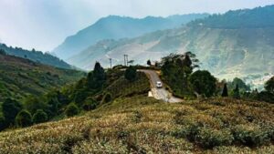 Kurseong avoid the Puja crowds and visit the area