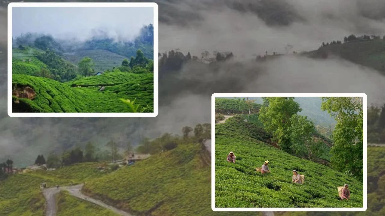 Kurseong avoid the Puja crowds and visit the area