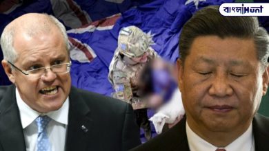 Complaint of posting fake pictures of Australia against the Ministry of Foreign Affairs of China! Scott Morrison washed Jinping
