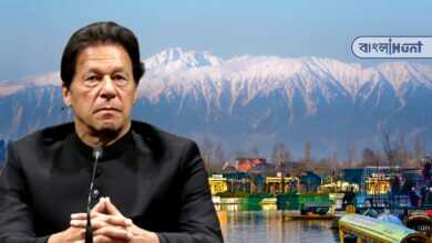 Imran Khan wants referendum on Kashmir issue