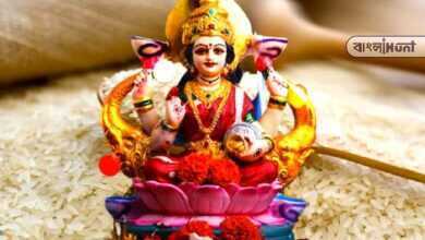 Do this domestic trick with rice on Thursday, get blessings from mother Lakshmi