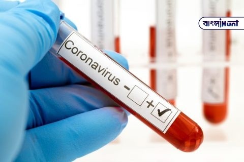 coronavirus testing everlywell