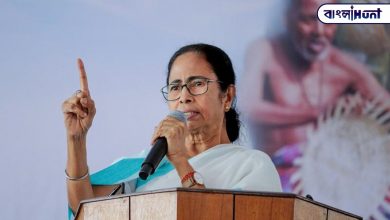 The CPM greedy party, the BJP greedy, but the tmc sacrificer: Mamata Banerjee