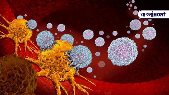 future cancer immunotherapy treatments could be administered by a pill 327926