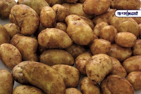 ingredient soup potatoes alt