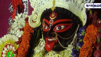 Find out the Kali Puja mantra on the date of Kali Pujo