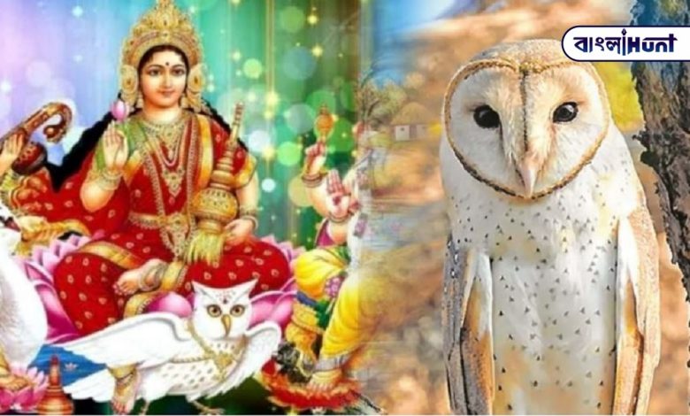 Mother Lakshmi is sitting on the owl? Remove this picture now